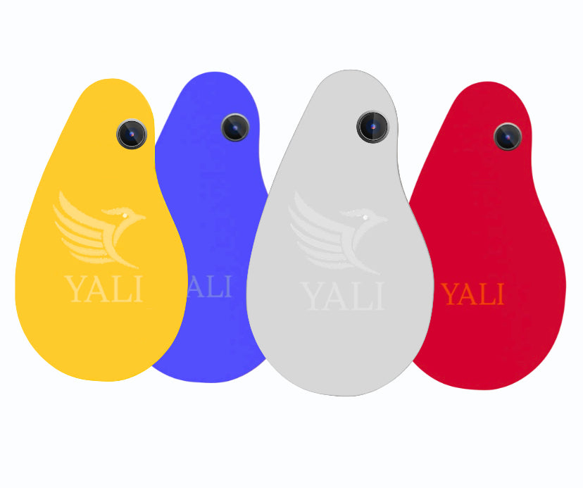 Yali - YALI