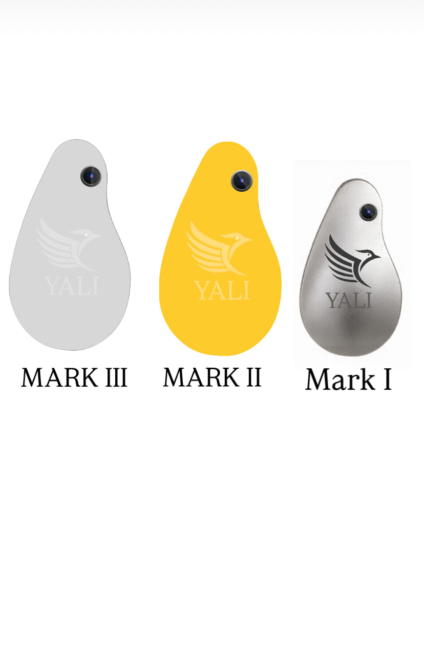 Yali