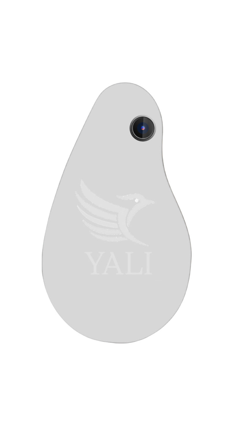 Yali Mark III - YALI
