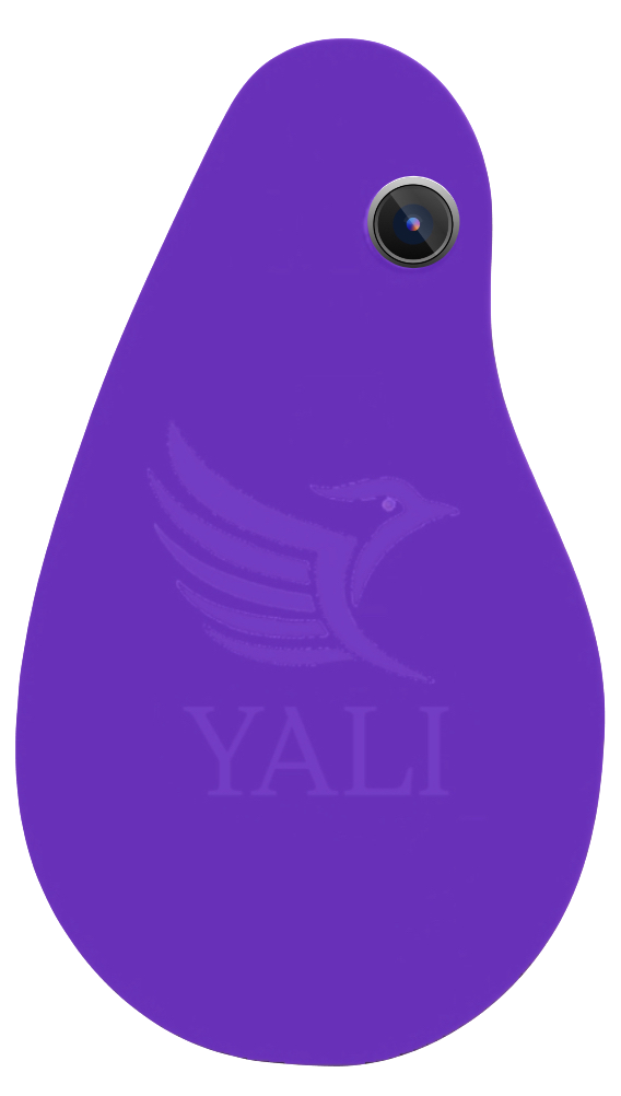 Yali Mark II - YALI