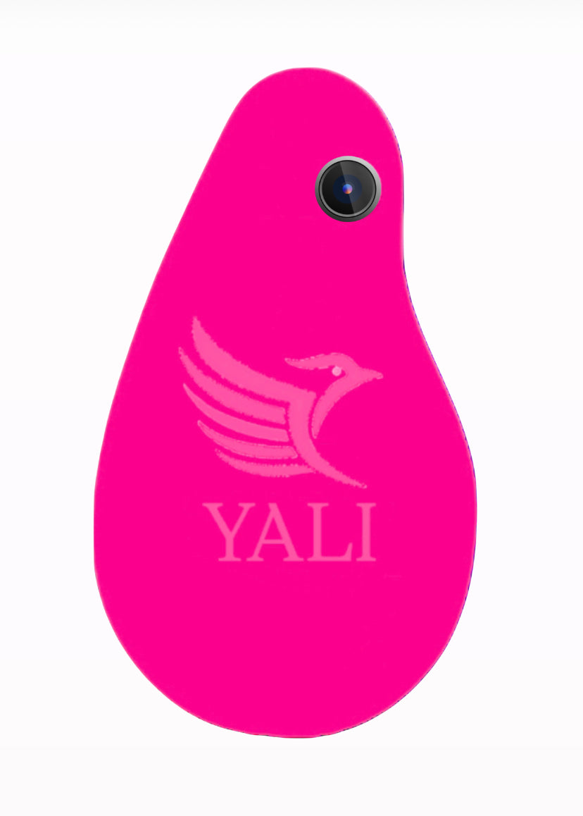 Yali Mark II - YALI