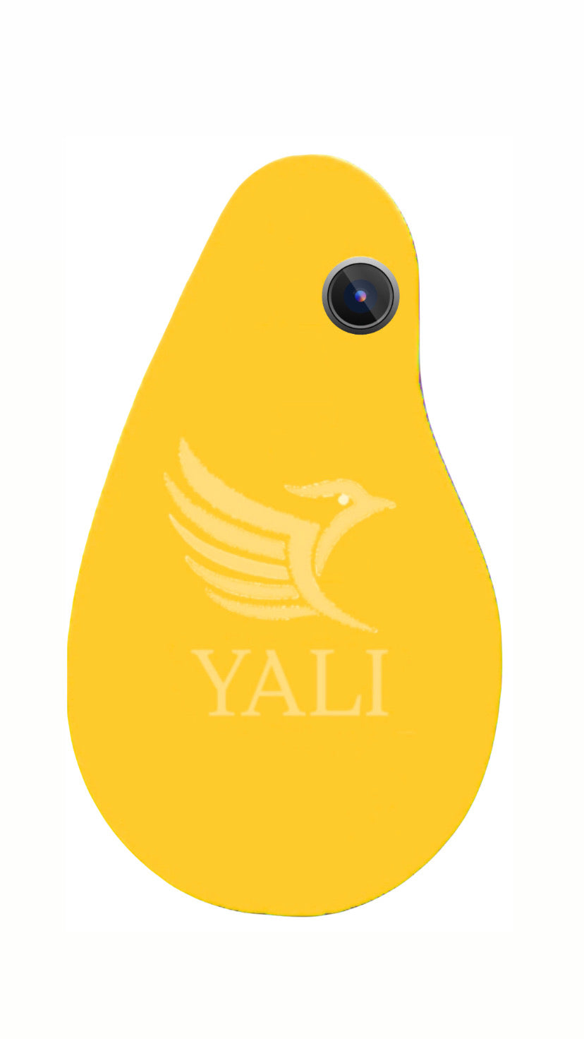 Yali Mark II - YALI