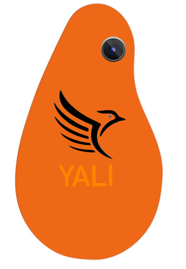 Yali Mark II - YALI