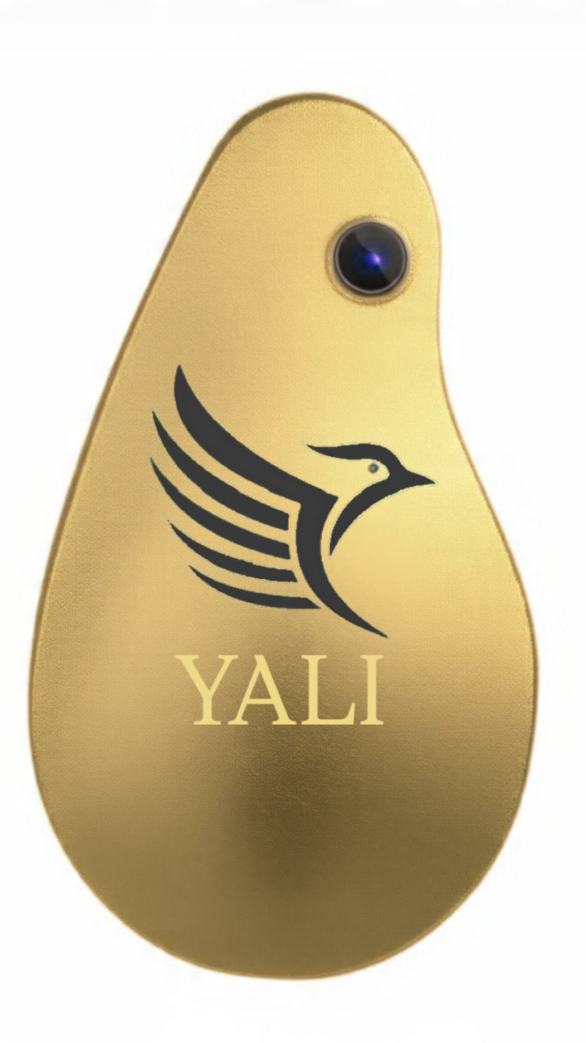 Yali Mark II - YALI