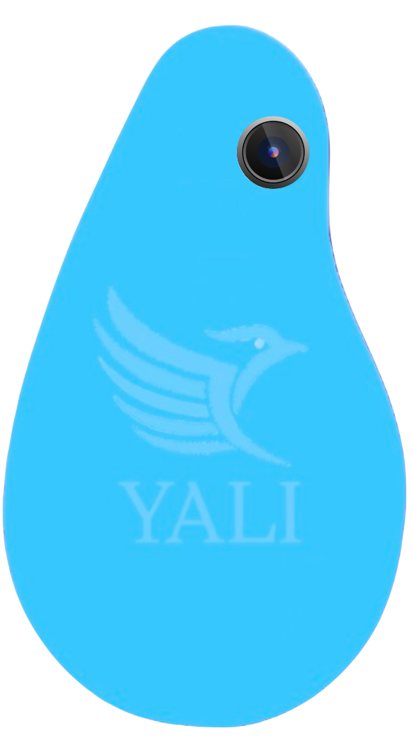 Yali Mark II - YALI